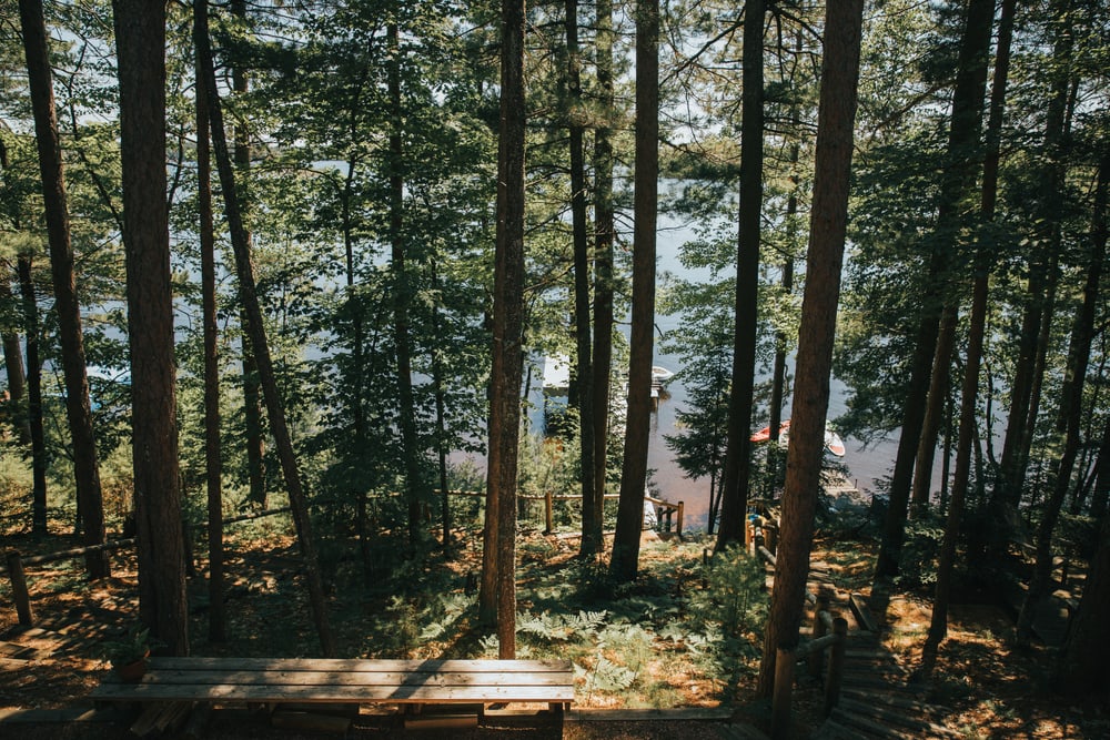 Luxury Wood Cabin, Lake Michigamme