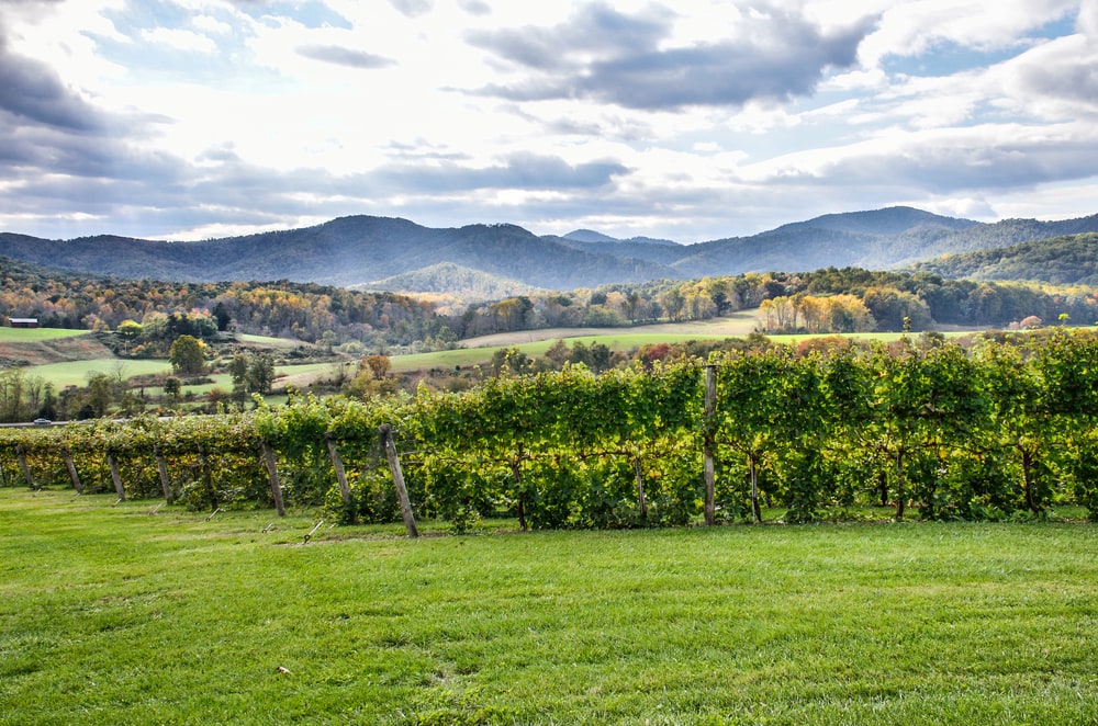 wineries in Northern Virginia
