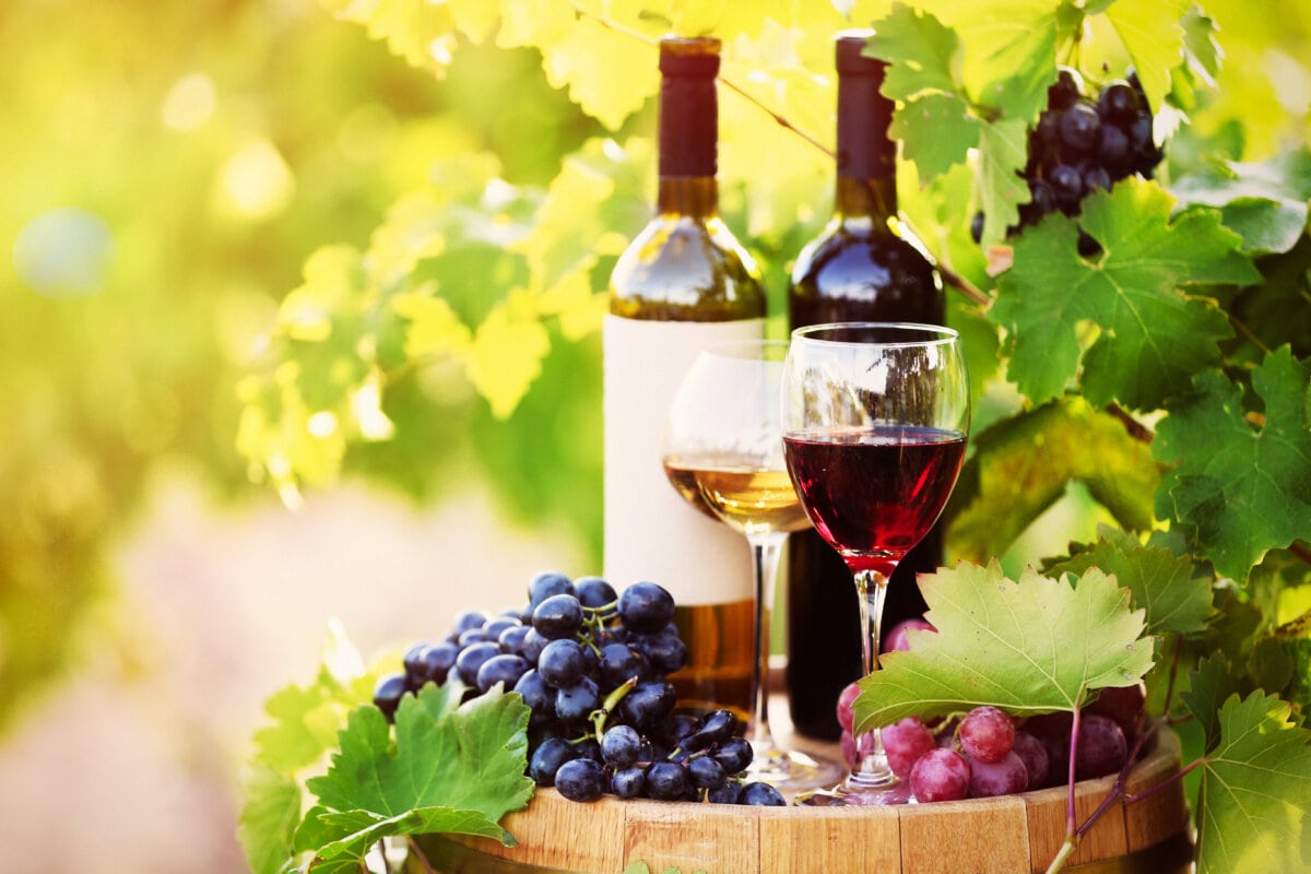 best wineries in New Hampshire