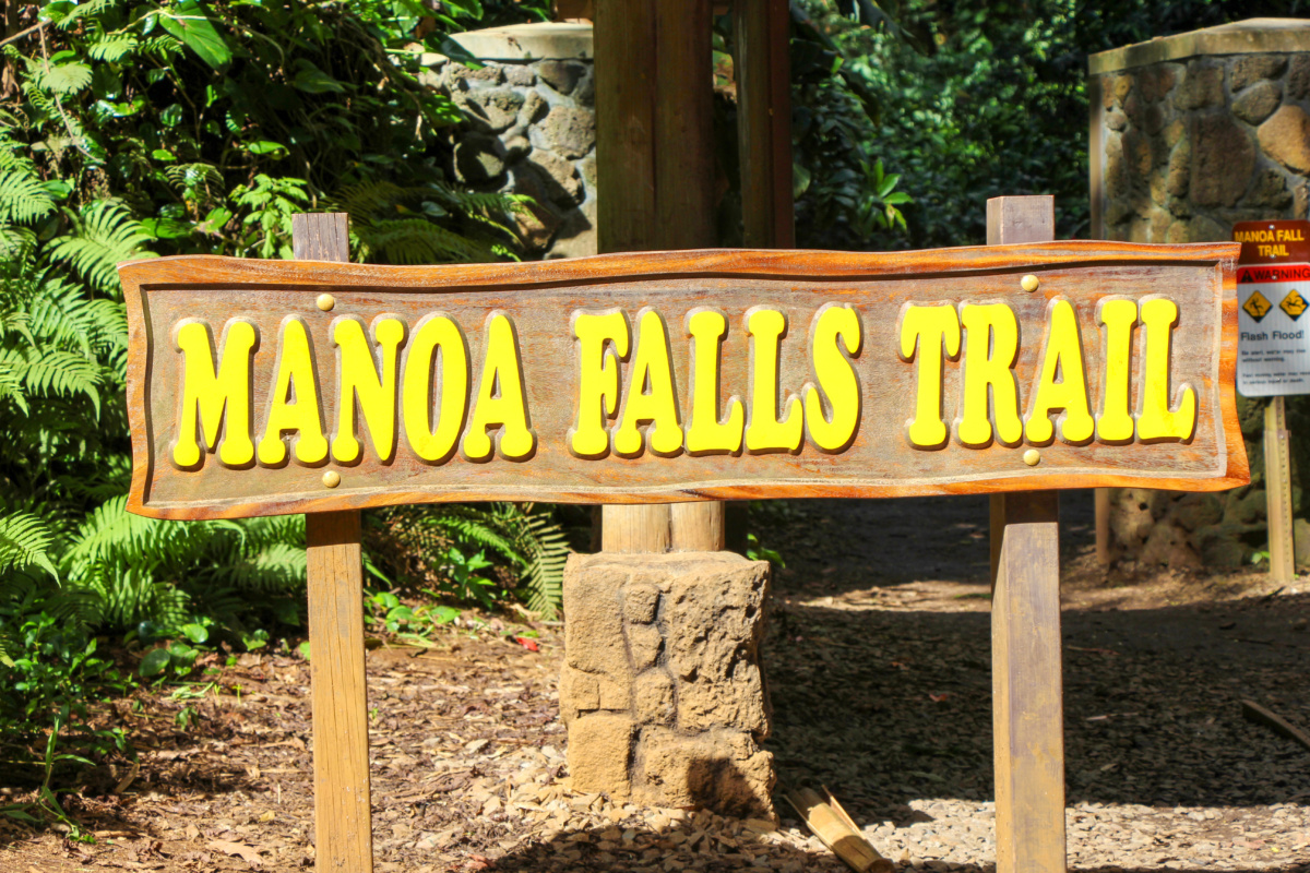 manoa falls trail
