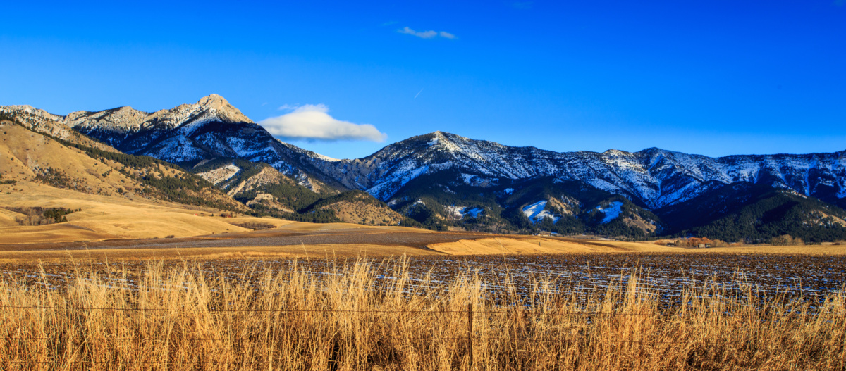 things to do in Bozeman MT