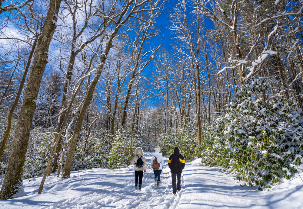 Family walking in snowy park just off Blue Ridge Parkway, North Carolina